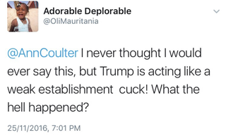 Illustration for article titled Bask in the sweet schadenfreude of all these Trump voters’ regrets